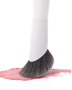BRUSH